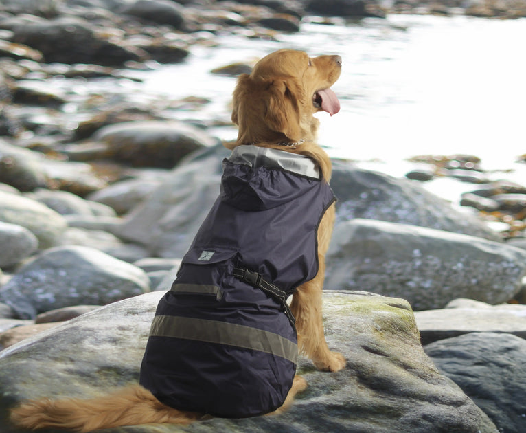 3 peaks outlet dog coat