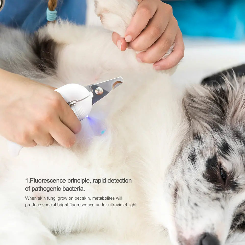 Dog nail clipper light best sale