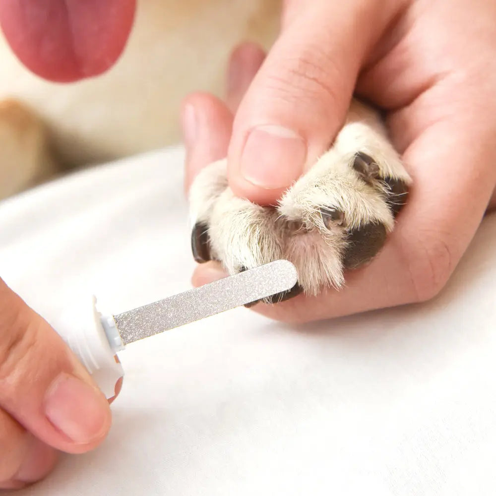 Dog nail clipper light best sale